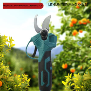  1089746826 112882330 (1)